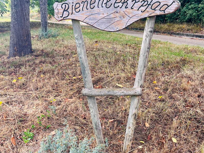 22-09-10 17-03-47 1946